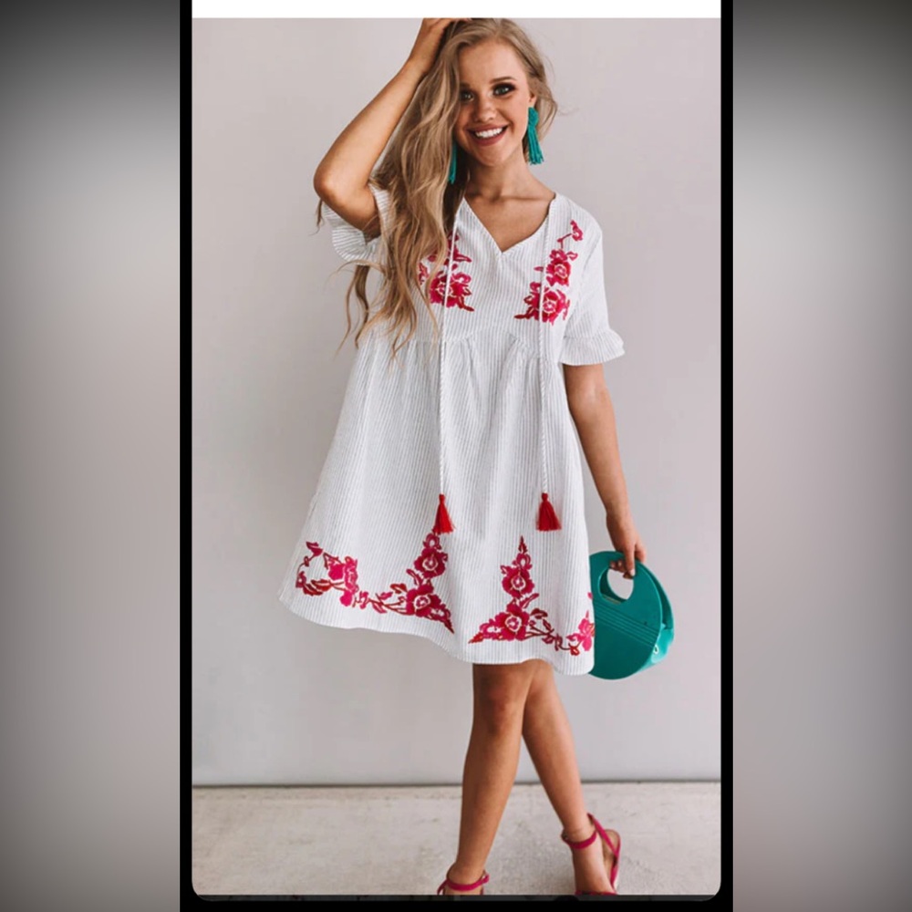 Entro White and Red Embroidered Mini Dress